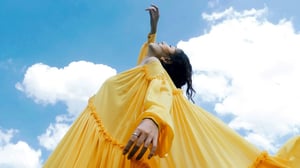 Success-Story-Peter-Hahn-Hero